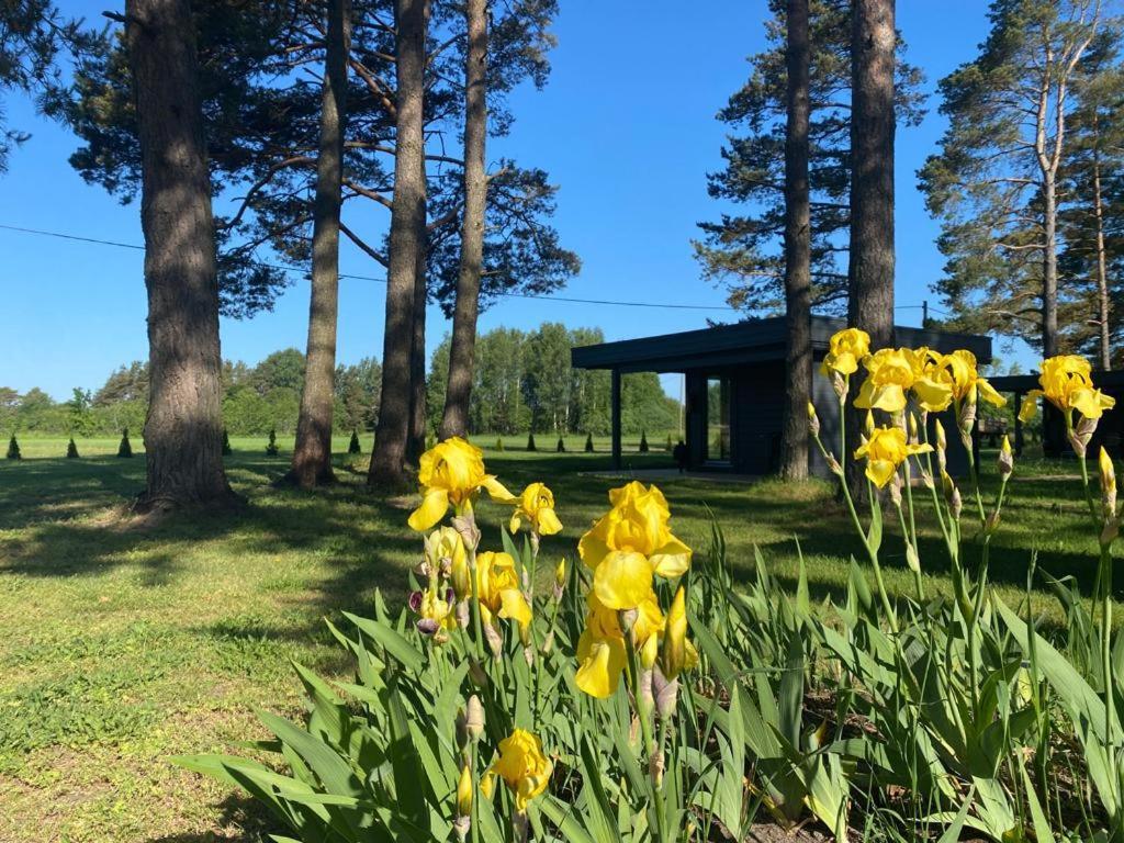 Villa Maennituka Suvetuba Kirikukula  Eksteriør billede
